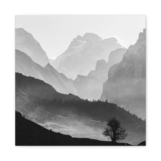 Black and White Canvas Wall Art 1